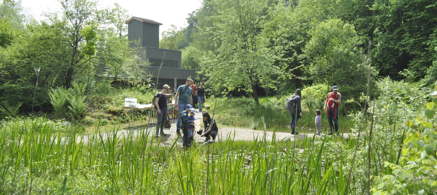 Naturlehrgebiet Buchwald