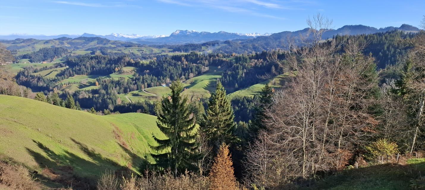 Aussicht Birbäumli